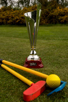 LB_06_Tri_Golf_Brampton_Heath