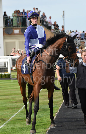 Gt_Yarm_21_Aug_2022-145