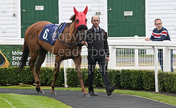 Gt_Yarm_May14_2025-84