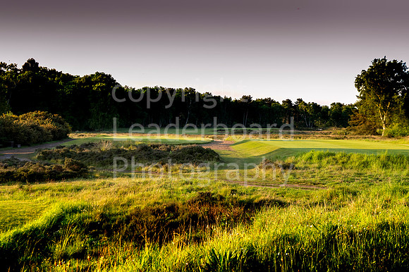 LB_Brabazon_2017_1656