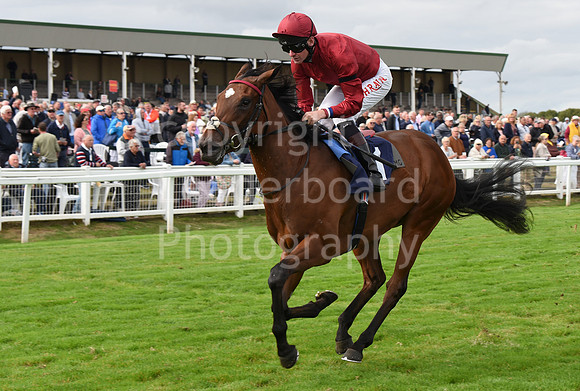 Gt_Yarm_15_Sept_2022-86
