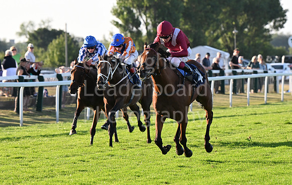 Gt_Yarm_Ladies Night_2025-108