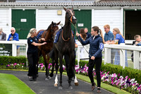 Gt_Yarm_3_Aug_2025-6