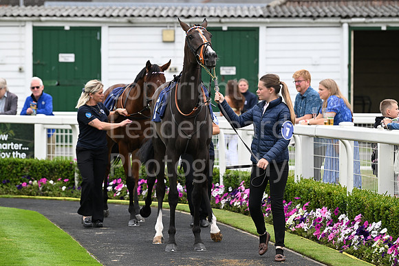 Gt_Yarm_3_Aug_2025-6