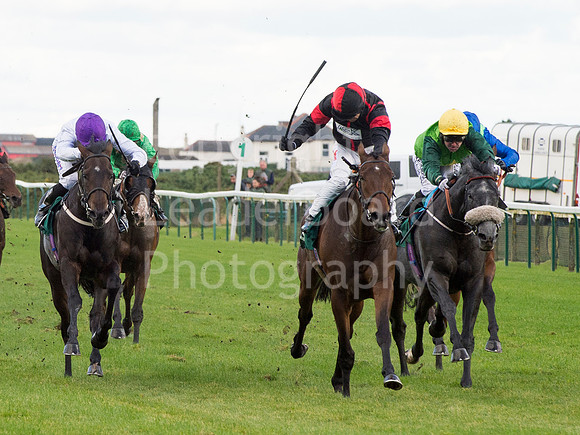 LB_GY_races_10_10_2016_0163