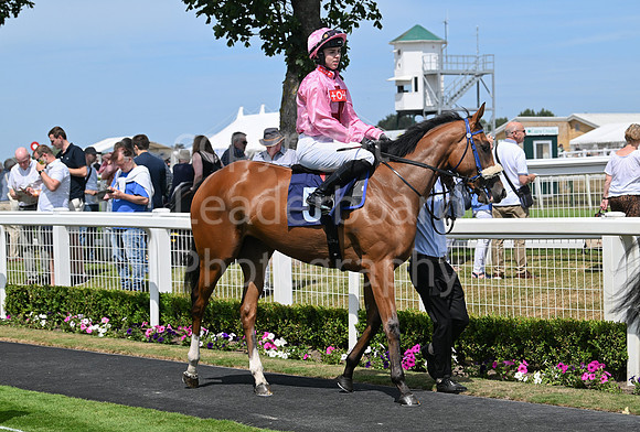 Gt_Yarm_Residents_Day_June_27-60