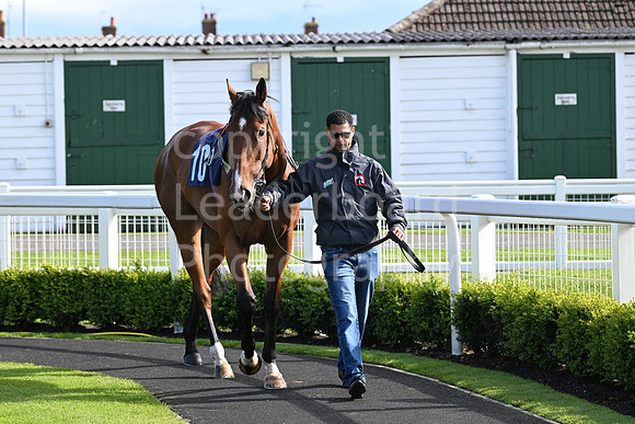 Gt_Yarm_May_22_2024-222