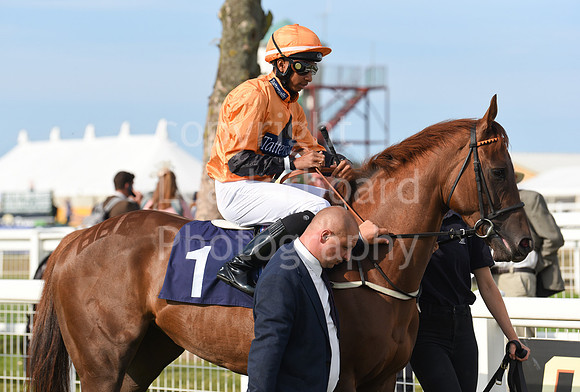 Gt_Yarm_13_July_2022-11