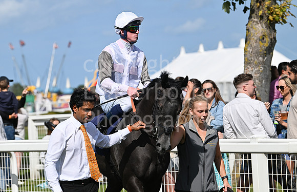 Gt_Yarm_25_Aug_Family_Raceday_2024-58