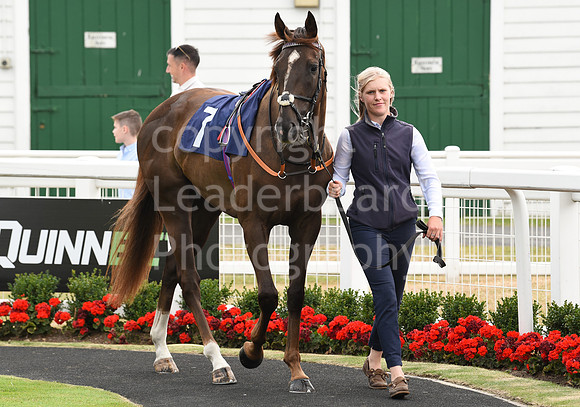 Gt_Yarm_26_July_2022-132