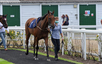 Gt_Yarmouth_Races_03_Aug2020-5