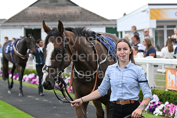 Gt_Yarm_24_Aug_2025-35