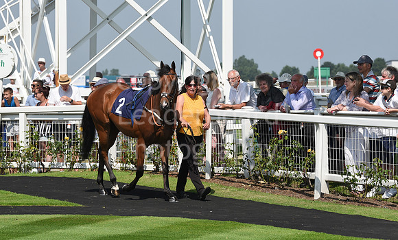 GY_Races_25_July-1