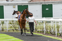 Great_Yarm_Racing_15July-5