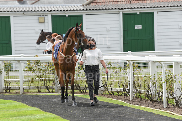 Great_Yarm_Racing_15July-5
