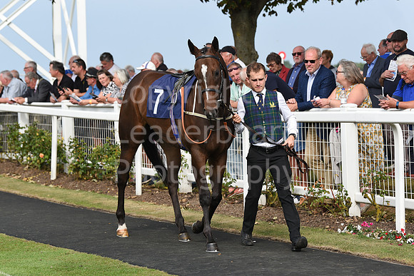 Gt_Yarm_Eastern_Fest_Day_3-29