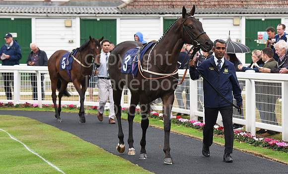 Gt_Yarm_Eastern_Fest_Day_1-1