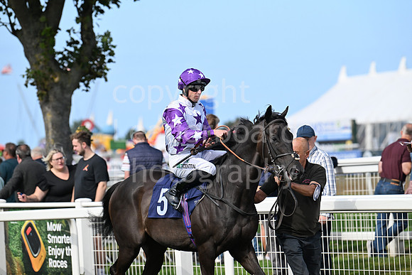Gt_Yarm_24_Aug_2025-138
