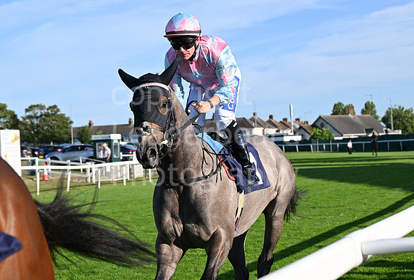 Gt_Yarm_Ladies Night_2025-60