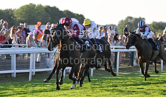 Gt_Yarm_Ladies Night_2025-138