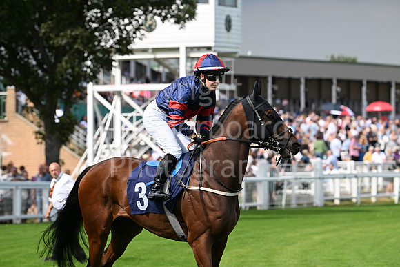 Gt_Yarm_24_Aug_2025-16