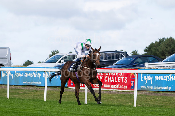 DSC_0352