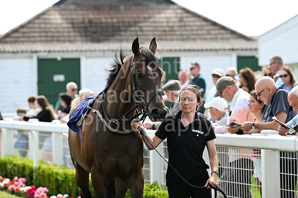 Gt_Yarm_Aug_8_2024-1