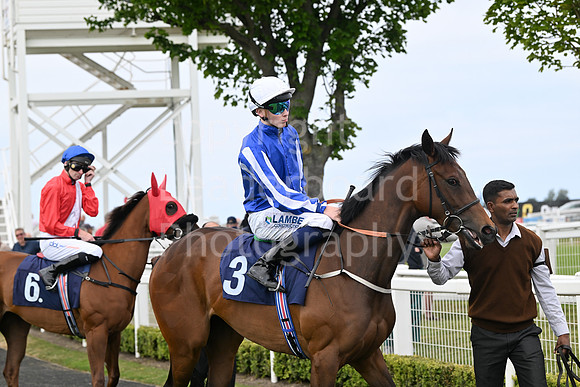Gt_Yarm_May14_2025-103