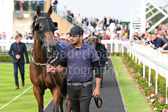 Gt_Yarm_Eastern_Fest_18_Sept_2024-7