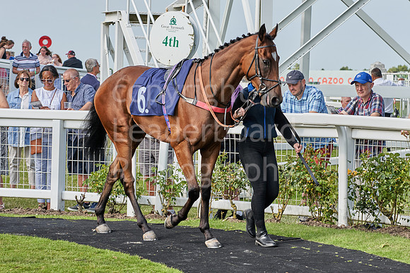Great Yarmouth  Race Seven 11th Aug 2021 0510