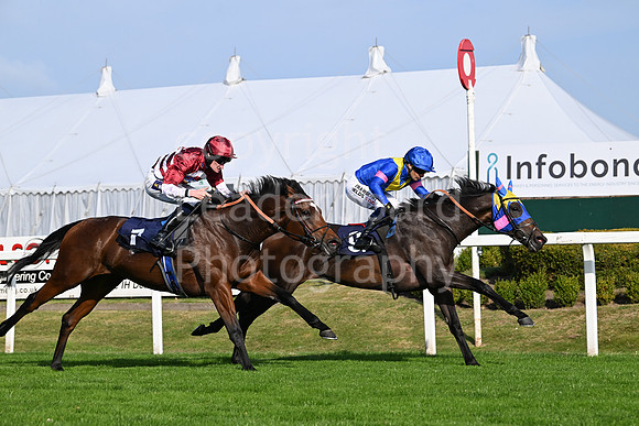 Gt_Yarm_Eastern_Fest_18_Sept_2024-162