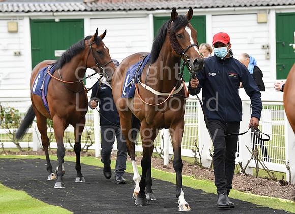 Yarm_Races_25th_June2021-7
