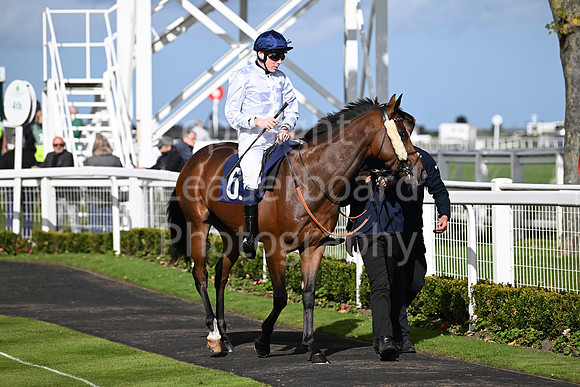Gt_Yarm_Oct_7_2024-11