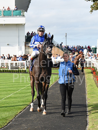 Gt_Yarm_14_Sept_2022-114