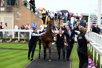 Gt_Yarm_3_Aug_2025-19