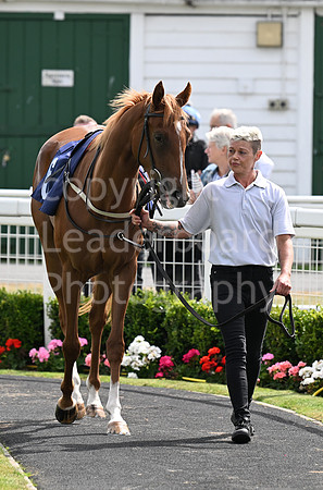 Gt_Yarm_Aug_8_2024-38