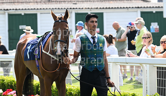 Gt_Yarm_July_30_2024-49