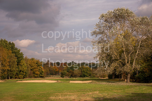 NB_002_Bromley_9_Hole