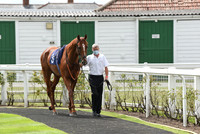 Great_Yarm_Racing_15July-10