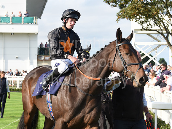Gt_Yarm_14_Sept_2022-113