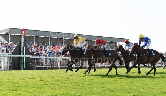 GY_Races_25_July-131