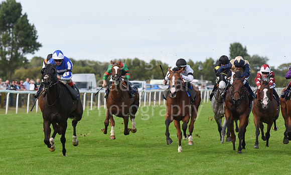 Gt_Yarm_14_Sept_2022-127