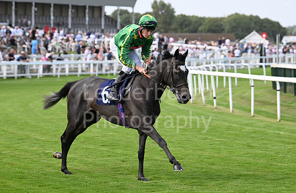Gt_Yarm_Aug_8_2024-137