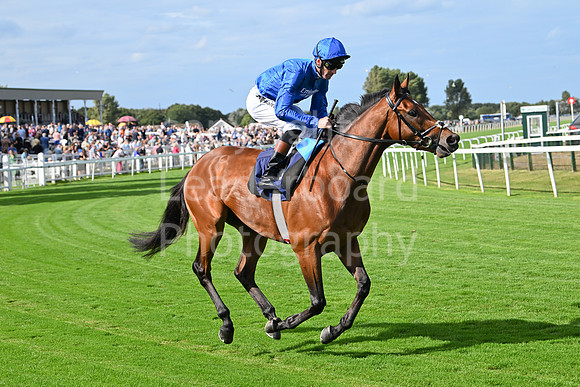 Gt_Yarm_25_Aug_Family_Raceday_2024-133