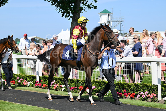 Gt_Yarm_July_30_2024-96