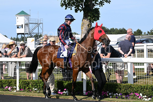Gt_Yarm_Residents_Day_June_27-175