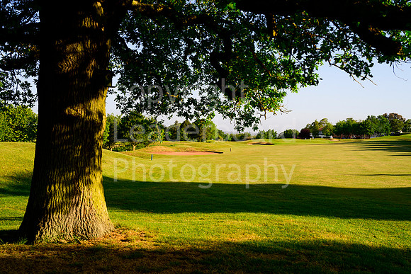 DSC_5952