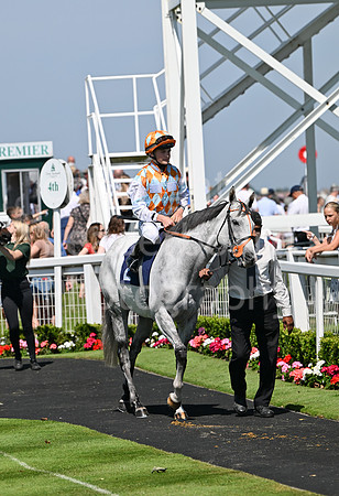 Gt_Yarm_July_30_2024-12