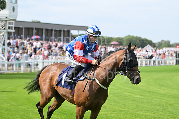 Gt_Yarm_Residents_Day_June_27-137