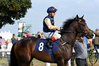 Gt_Yarm_Eastern_Fest_Day_3-12